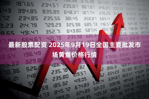 最新股票配资 2025年9月19日全国主要批发市场黄鱼价格行情